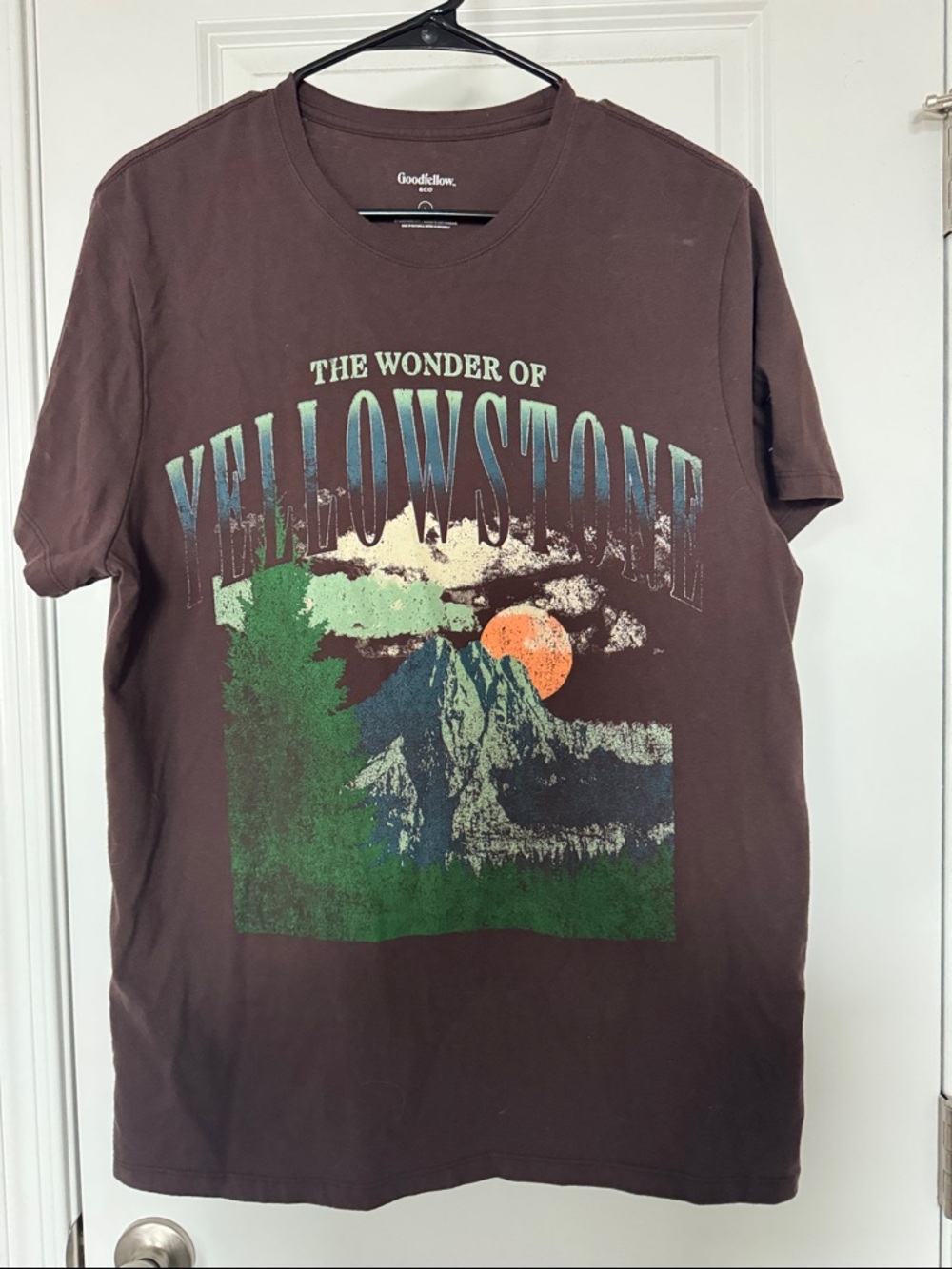 Goodfellow & Co Brown Yellowstone Graphic Short Sleeve Tee